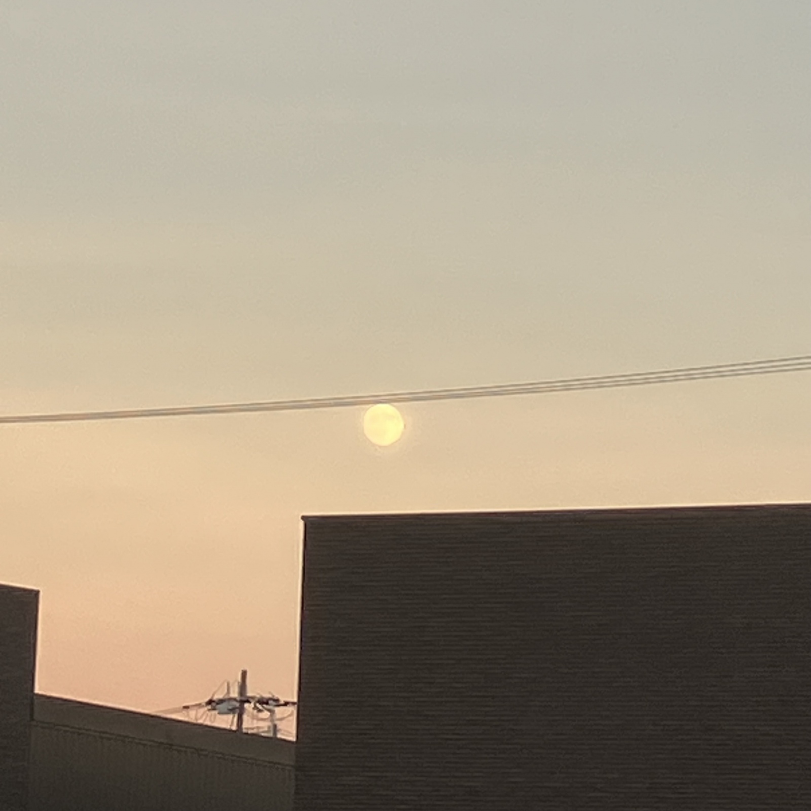 YɌ܂